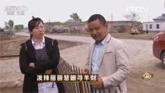 致富经 [致富经]泼辣丽丽慧眼寻羊财 20160714