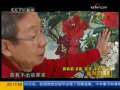 面对面 田雨霖 求新 求变 求真