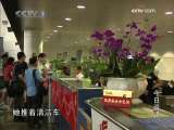 今日说法 深圳机场黄金案调查