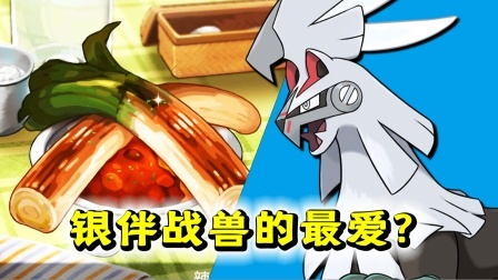 酷爱精灵宝可梦 第一季 银伴战兽太酷了！