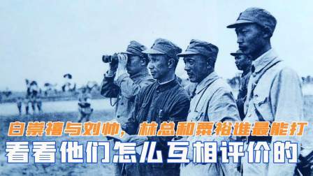 白崇禧与刘帅，林总和粟裕谁最能打？看看他们是怎么互相评价的