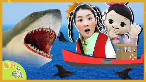 爱丽去哪儿 爱丽的济州岛之旅 找寻大海中的海豚