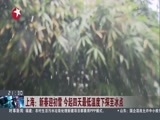 直播上海 《直播上海》 20170209