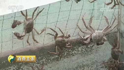 消费主张 《消费主张》 20180921 中秋食蟹指南（下）