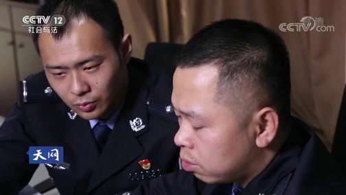 天网 《天网》 20190812 雨夜无牌车
