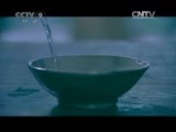 纪录频道大足石刻 《发现之路》 20110116 《大足石刻》 下集