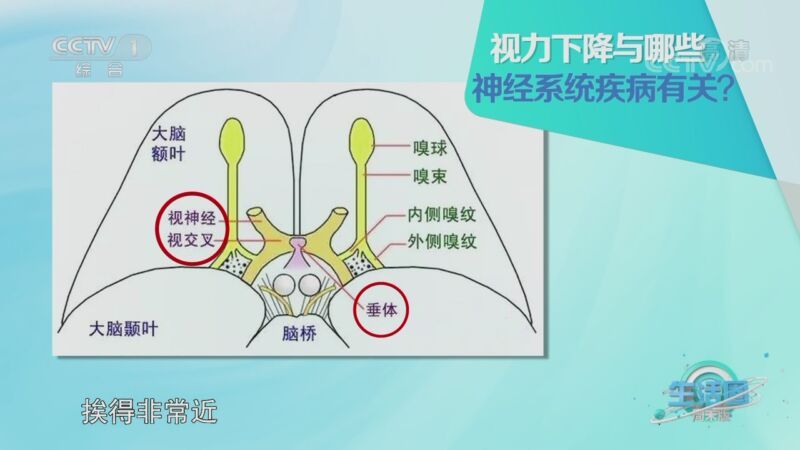 生活圈 《生活圈》 20201107