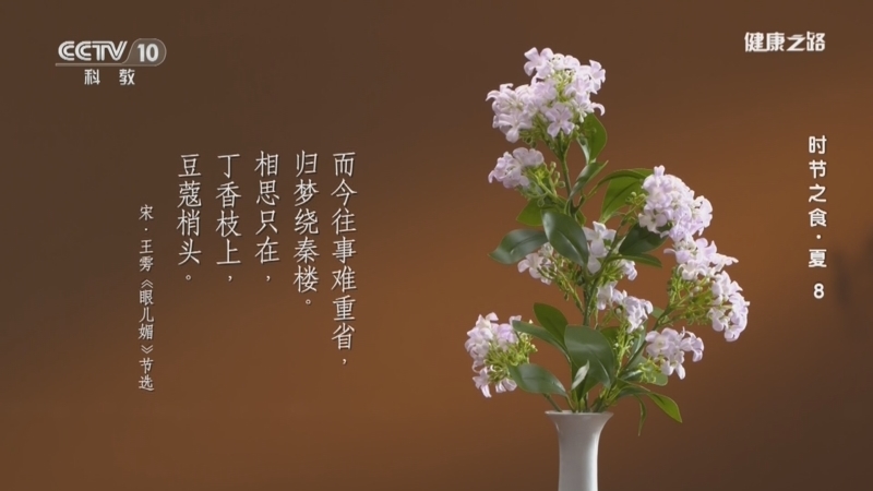 健康之路 《健康之路》 20240722 时节之食·夏 8
