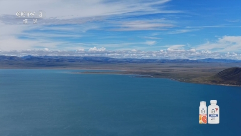 《文化十分》 20260114