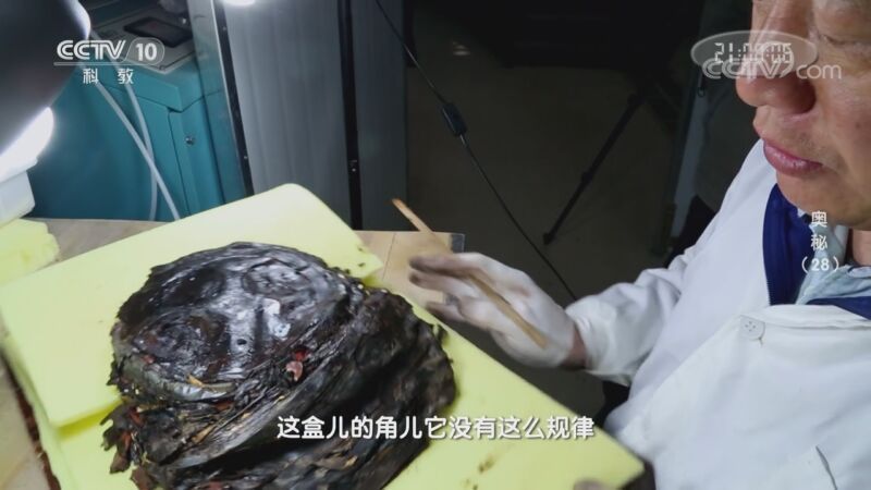 奥秘 《奥秘》 20200826 （28）