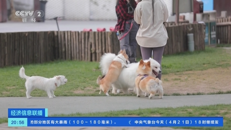 经济信息联播 《经济信息联播》 20240421