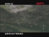魅力纪录（CCTV-1综合频道） 《魅力纪录》 20120416 生命 第一集 生命的挑战