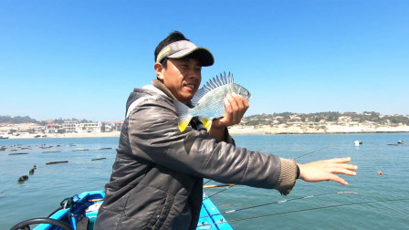 思乡渔夫 靠钓鱼发家致富不是梦，阿锋今天又赚1000多，笑得合不拢嘴