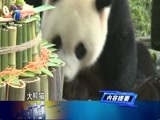 12点报道 《12点报道》 20170824