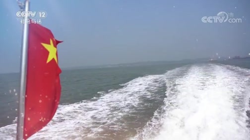 热线12 《热线12》 20190620 禁毒之战2019——猎毒者