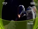 原来如此 《原来如此》 20180829 家电的隐患