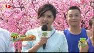我爱桃花源 150925我爱桃花源_001