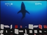 地理中国 《地理中国》 20120728 暑期特别节目《地球家园》——海洋杀手（上）