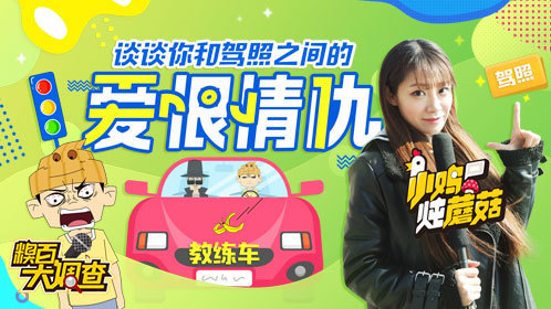 爆笑！和驾照不得不说的爱恨情仇