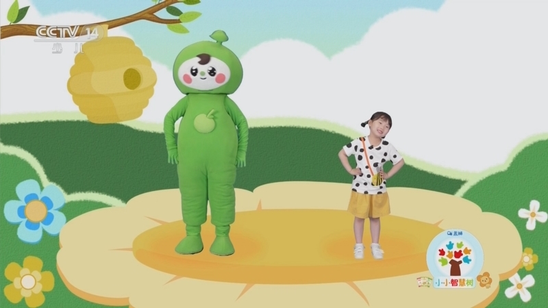 小小智慧树 《小小智慧树》 20231020