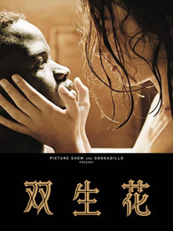 双生花(2018)