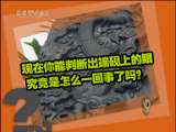 芝麻开门【央视】 芝麻开门 2010年 第240期