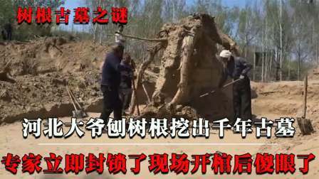 考古新发现第二季 大爷刨树发现古墓 下，专家闻声前往调查，不料棺内景象令人傻眼