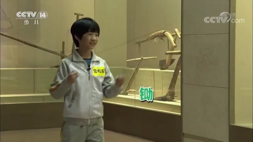 芝麻开门【央视】 《芝麻开门》 20190325 挑战大现场 走进农业博物馆