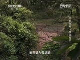 地理中国 《地理中国》 20150428 “天眼”奥秘·桂北奇坑