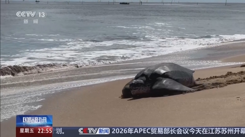 《国际时讯》 20260522