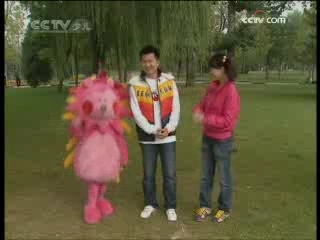 智慧树 智慧树 2008年 第329期