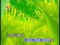 儿歌舞蹈大讲堂 小树叶