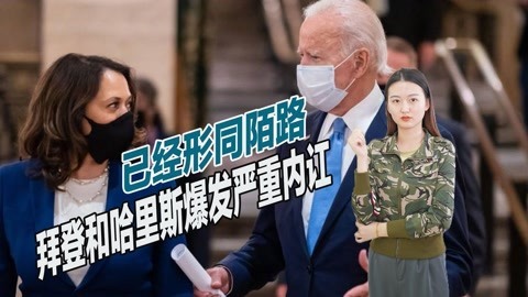 哈里斯犯了大忌，声称从未讨论过连任问题，或与拜登形同陌路