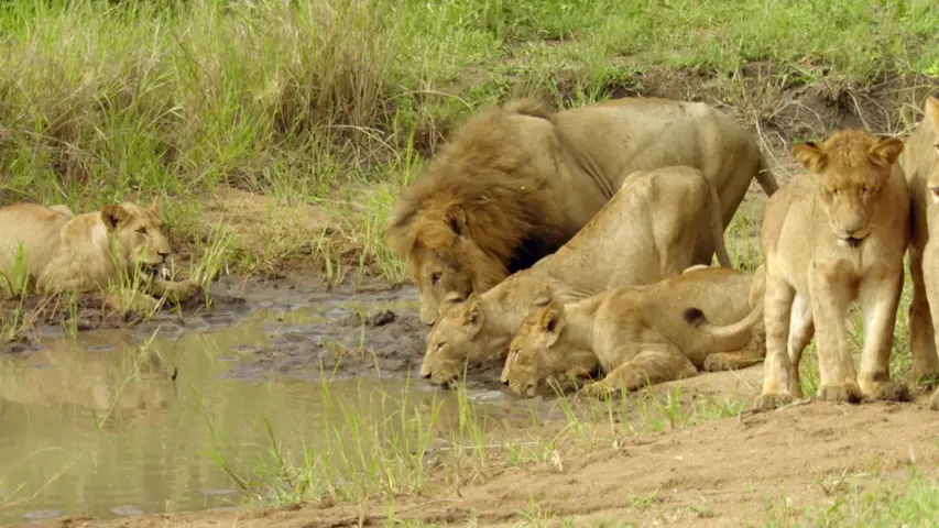 《生命之树》第1集