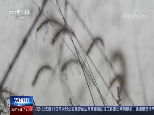 法治在线 《法治在线》 20200219