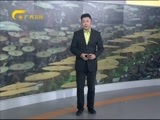 新闻夜总汇 《新闻大通道》 20160414