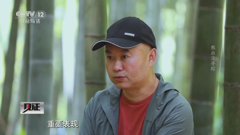 见证 《见证》 20240630 熊出没寻踪