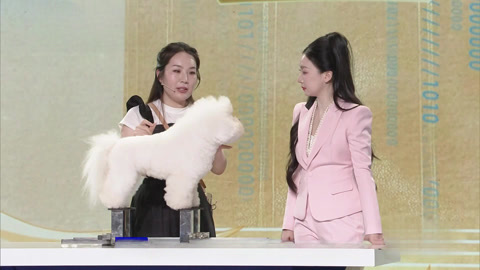 高手云吉 高手云吉之叶来赋予宠物美容艺术感 杨磊从保家卫国到服务万家
