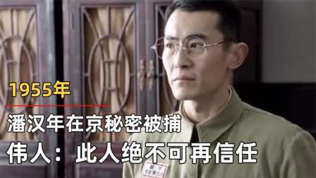 红墙往事 潘汉年在京秘密被捕，伟人怒斥：此人绝不可再信任