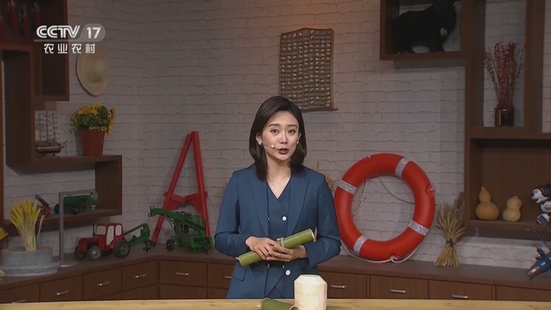 我爱发明 《我爱发明》 20230605 破竹碎壳