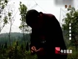 今日说法 《今日说法》 20171215 折断的翅膀