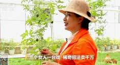 致富经 [致富经]三个女人一台戏 稀奇招法卖千万 20180920