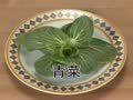 米卡成长天地（1-2岁） 重点词汇