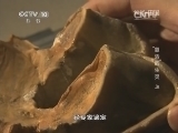 地理中国 《地理中国》“复活”的生灵（上）20141029