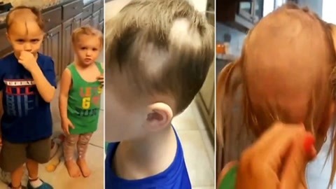 网罗天下 小兄妹把自己剃成狗啃头