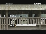 天网 [天网]警营中的女队长——火眼金睛·郑淑淋(20130305)