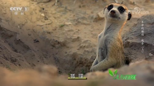 人与自然 《人与自然》 20190111 生命的旅程——起步（上）