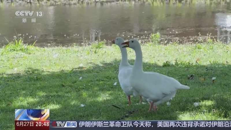 《东方时空》 20260627