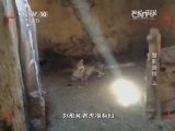 地理中国 《地理中国》 20140812 雪豹迷踪（上）