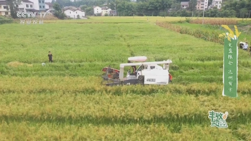 《沿着地图看和美乡村》 20241105 丰收地图-四川篇 充盈粮仓 达州有方